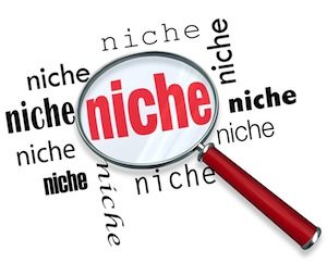 niche find and keep, online business